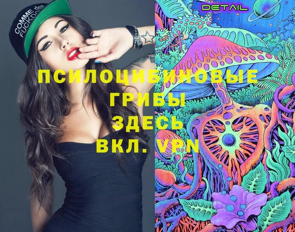 экстази Бородино