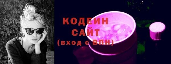 крисы Верхний Тагил