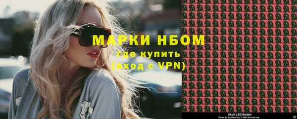 крисы Верхний Тагил