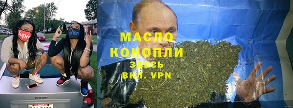 крисы Верхний Тагил