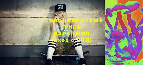 прущие грибы Бугульма