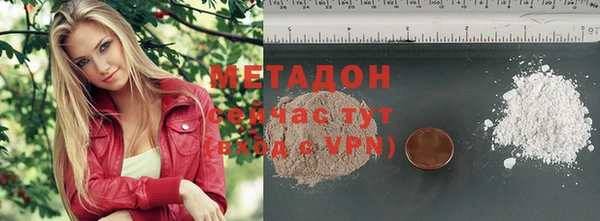 прущие грибы Бугульма