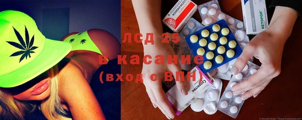 крисы Верхний Тагил