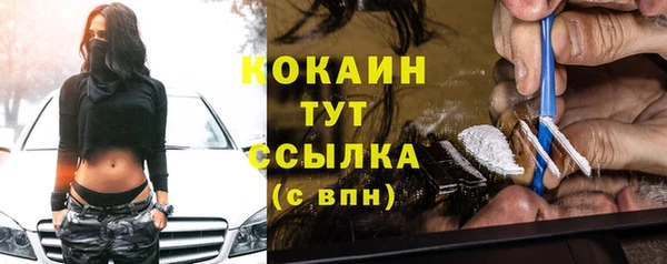 крисы Верхний Тагил